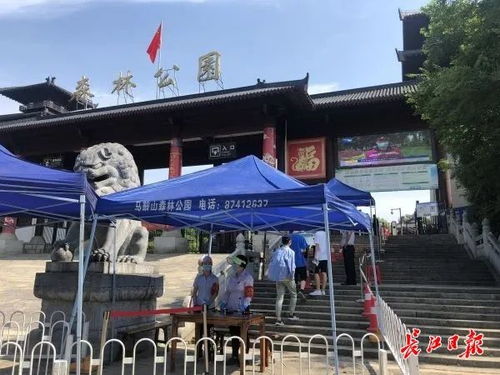 预约游,不扎堆,今年 五一 武汉游客体验感直线上升