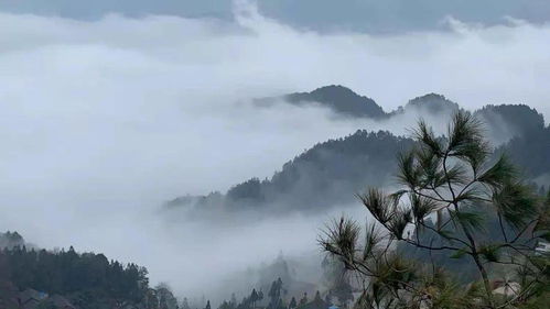除了雪景,大雾弥漫的小高山也别有一番风味