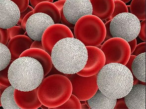 血象白细胞少红细胞多