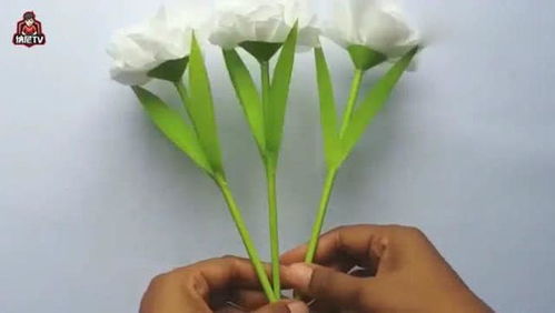 不花钱制作漂亮的花,用纸巾做成仿真花,远远看去就跟真的一样 