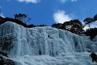 云南昆明轿子雪山风景区门票