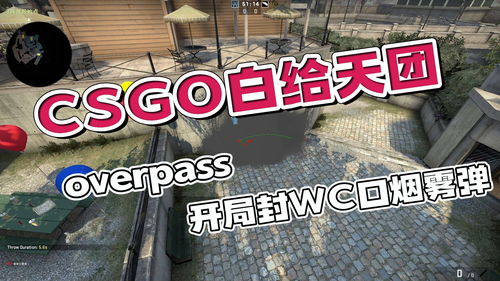 CSGO OverpassT开局扔中路WC口烟雾弹 