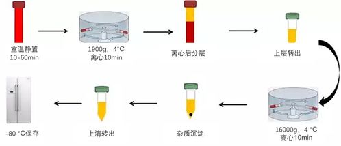 攻关队方案模板(攻关小组方案)