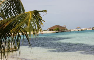 马尔代夫白金岛有哪些级别的酒店（马尔代夫金牌岛屿）