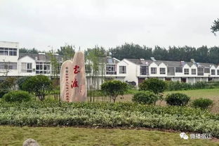 大泗阳各乡镇名称来历,原来这么有讲究的 快来看看你家