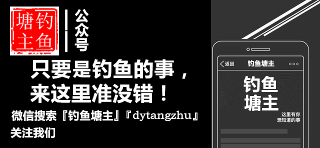 钓鱼打窝饵料 果香酒米鱼饵