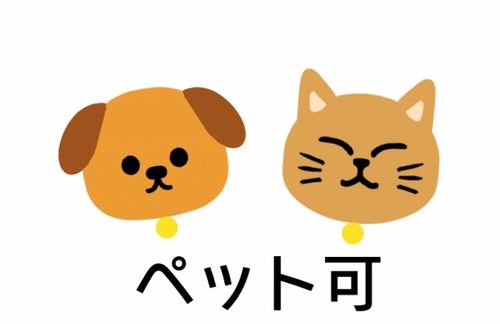 名校志向塾 留学生日本养猫指南