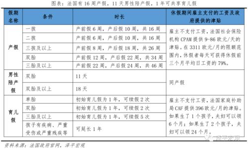 10.2 维护我们的合法权益表格式教案 