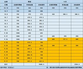 投资者如何网上申购公司债券？