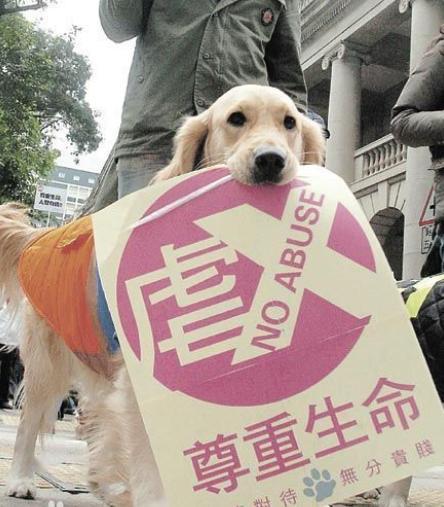 来了 多名人大代表建议制定 反虐待动物法 ,超100万人支持