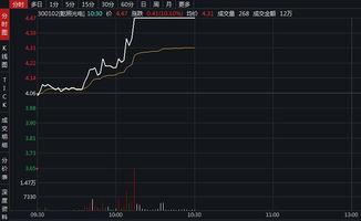 请问，有限责任公司和股份有限公司的表决权和出资比例都是什么关系啊？