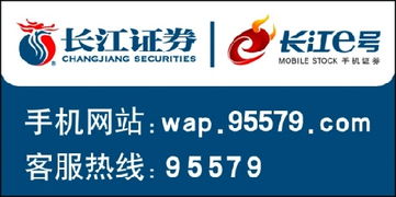 长江证券股份有限公司请问长江e号通号是多少