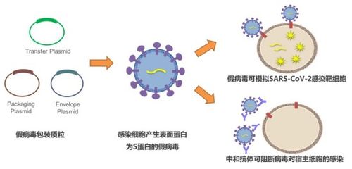 人类只能与病毒 相杀 病毒学家 策反 也可以