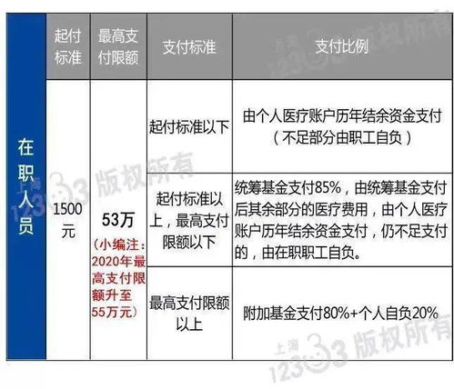 上海职工大病医疗保险报销比例(大病医疗保险月扣缴比例)