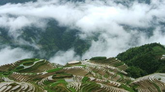 龙脊梯田桂林旅游(桂林如何去龙脊梯田龙脊梯田旅游交通攻略)