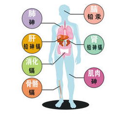 汞中毒有什么症状  第2张