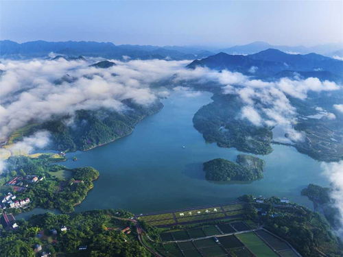 闯出一条 两山 转化好路子丨生态谈