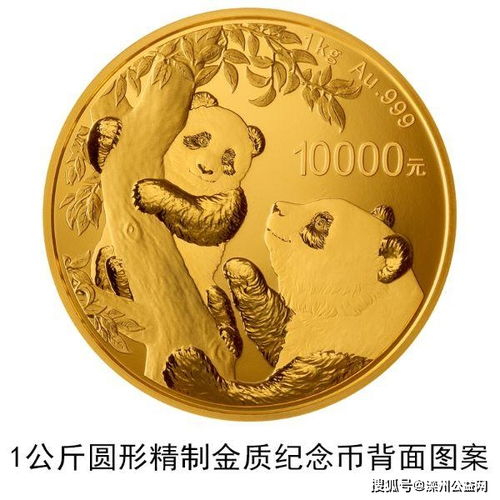 adolph2024金币是纯金吗