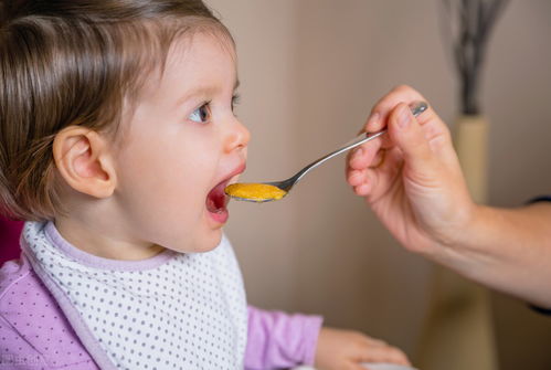 1.5岁宝宝适合吃硬的食物吗 1岁半 2岁孩子这样吃更营养
