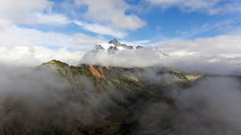 登山听莺，一场心灵的探险之旅，登山听莺的意思是什么