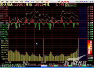 有什么网站可以查股票行情