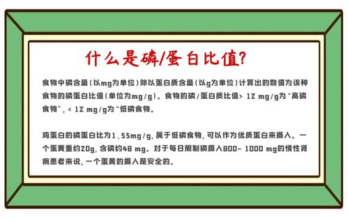 鸡蛋被忽视的5条冷知识,这样吃对肾友才最健康