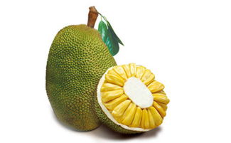 菠萝的营养价值 凤梨和菠萝的区别 孕妇可以吃菠萝吗 菠萝怎么削皮 腾牛健康网 