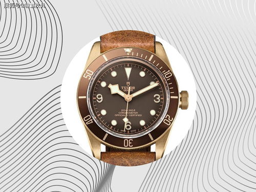 tudor手表是什么牌子的手表,TUDOR是什么牌的手表?