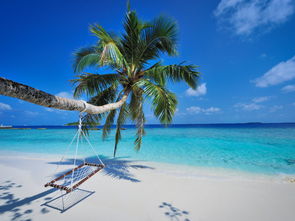 马尔代夫欢乐岛白酒让你体验海洋的美味