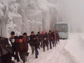 今年的雪灾是怎么回事?