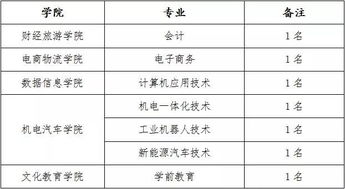 长江职业学院招聘20人,本科可报