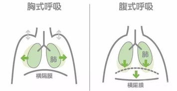 治疗腰背痛最有效的5个呼吸运动,人人都要练 