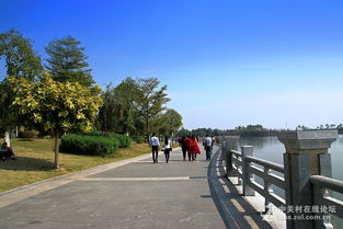 海珠湖公园停车建议 海珠湖公园停车方便吗(海珠湖公园停车场收费标准表图片)