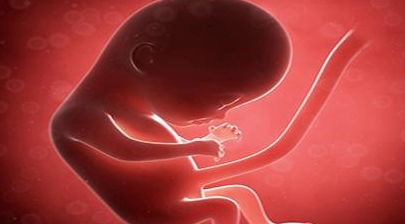 原创胎儿脐带绕颈，并不是孕妇常摸肚子造成的