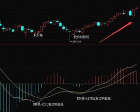 介绍一个最简单的方法怎样看底背离和顶背离