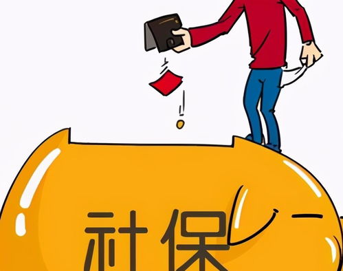 在社保中心养老金查询系统中为什么单位已划缴数位是零，单位每月都缴保险和扣缴个人部分