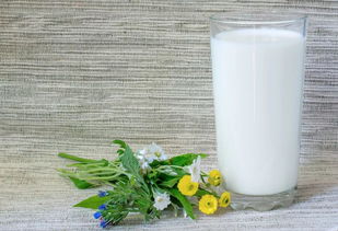 警惕 6种疾病时期喝牛奶最伤身