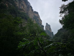 武汉到张家界四日游 张家界旅游攻略