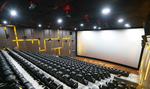 广东明确 影剧院等娱乐场所可有条件开放 电影要这么看