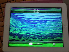 ipad2屏幕花屏,颜色不对,大侠帮忙看看是什么问题 