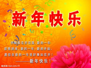 恭祝2011元旦快乐 