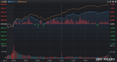 如何查看当天所有股票涨停