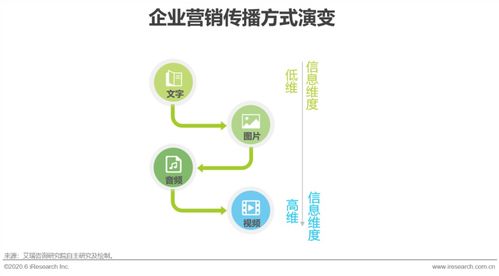 2020年中国企业直播营销场景案例研究报告