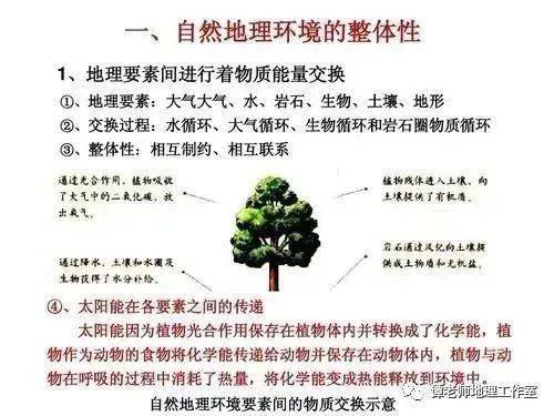 自然地理环境的整体性知识总结