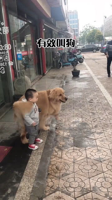 这就是狗子哥 