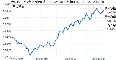 大成积极成长