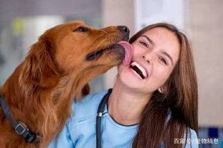 狗狗为什么喜欢舔人 原因有三点,但许多人都不理解