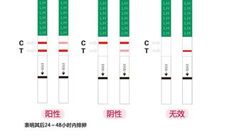 排卵预测试纸检查视频 健康一线 