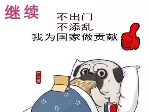 继续,不出门,不添乱