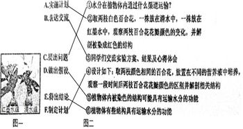 大棚里的植物水分充沛.长势良好.兴趣小组的同学对 水分在植物体内通过什么渠道运输 进行了思考.他们取两株白色百合花分别放置在红墨水和清水中.一段时间后.观察花瓣的颜色 
